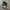 Nike Streetwear Casual Sneakers Pria white black