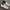 Nike Waffle One SE Black Sail Phantom White ( Size 45 )