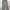 Nike Y2K Sportswear Tracksuit Pria gray red
