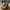 Rick Owens DRKSHDW Ramones Nylon Grey White Sneakers