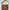 Luxury Minimalist Crossbody Bag Wanita brown