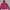 Jaket Sport Running Lightweight Uniqlo Pocketable Pink 