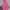 asir g-pop Pink Jeans