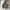 Ziphoodie raplhlauren grey