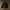CORDUROY PLAINED POLYSTER BOXY 