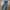 Celana Jeans H&M Skinny Fit mantab