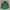 Kappa Jersey Vintage Bottle Green Colour