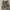 Celana Cargo Paola Del Lungo Italy Army  Original