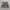 Abercrombie & Fitch Cargo Camouflage size tag 30