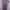 Midi Dress Mauve