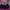 Sport bra seamless fuschia hitam senam yoga running pilates