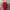 Cop Copine Red Midi Dress