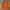 Basic Longsleeve Orange by Birkenstock
