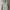 PULL N BEAR SAGE LIGHT GREEN HOODIE