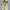 Nike Y2K Sportswear Sneakers Pria cream tan