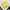 Salvatore Ferragamo Minimalist Casual Midi dress Wanita cream yellow