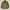 Parka M65 Jacket Army
