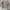 Frio sweater gray abu