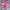 H&m short jeans celana pendek pink