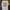 Kaos Walt Disney World Attractions Opening Date Timeline 197