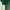 Crop Half-backless Knit in Emerald Green
