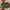 Y2K Rare Ripcurl Army Green Mini skirt