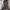 COAT JACKET CAMOFLAGE VETEMENTS POLIZEI