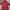 Vintage streetwear sweat Crimson