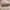 NEW PINKBERRY Lip Gelato 4.2ml - Long Lasting Moisturizing L