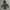 Moncler Puffer Jacket Inner Sherpa Dark Grey Colour (Hoodie 