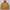 Luxury Puffer jacket Pria yellow