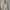 Ann Demeulemeester Goth Avant Garde Pea coat Pria cream