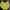 Yonex Sportswear Windbreaker Pria yellow
