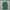 Streetwear Casual Casual shirt Pria green