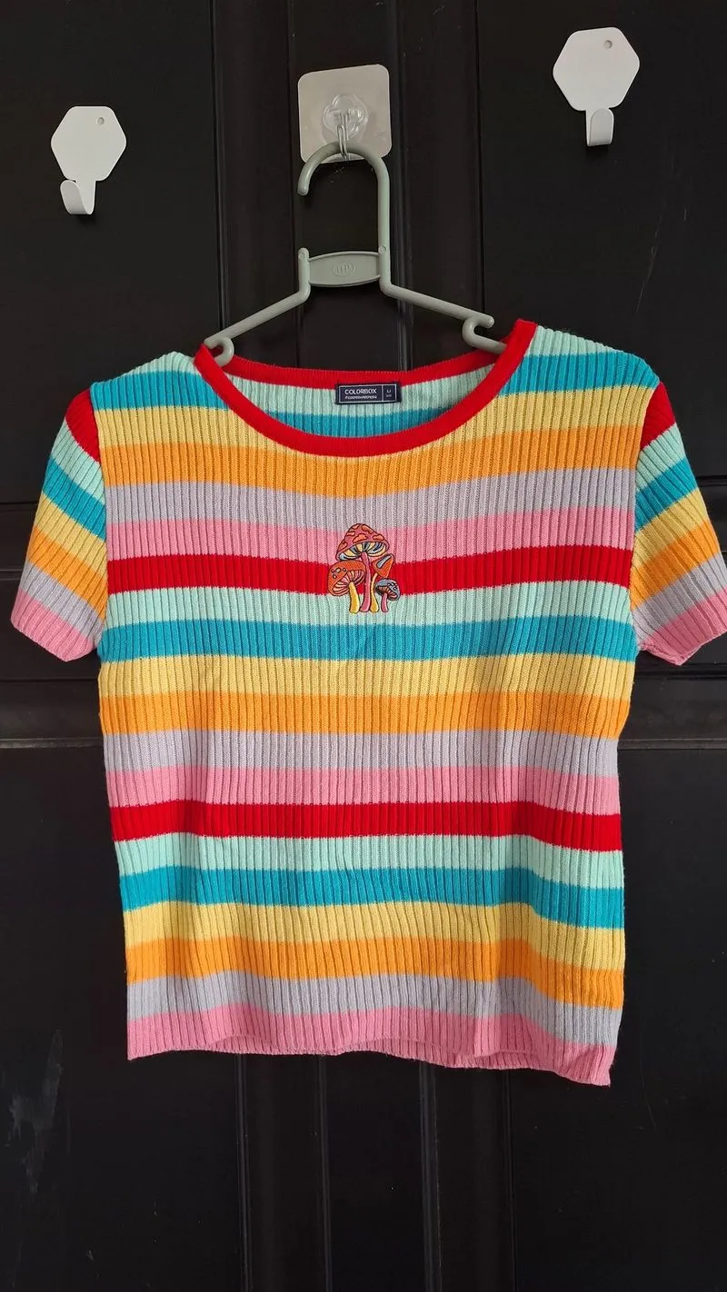Color Box Crop Top photo 1