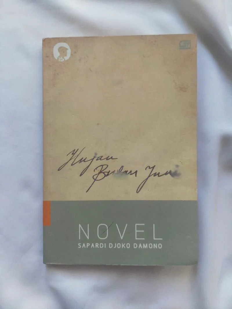 Novel Hujan Bulan Juni—Sapardi Djoko Damono photo 1
