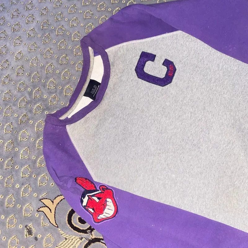 MLB Casual Hoody Pria purple photo 1