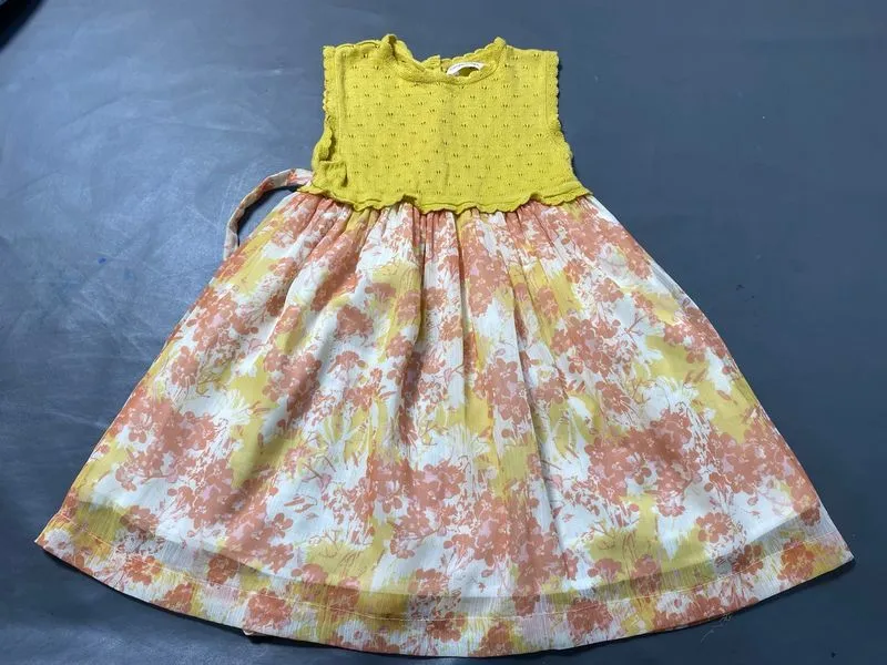 Gingersnaps Dress 3 thn photo 1