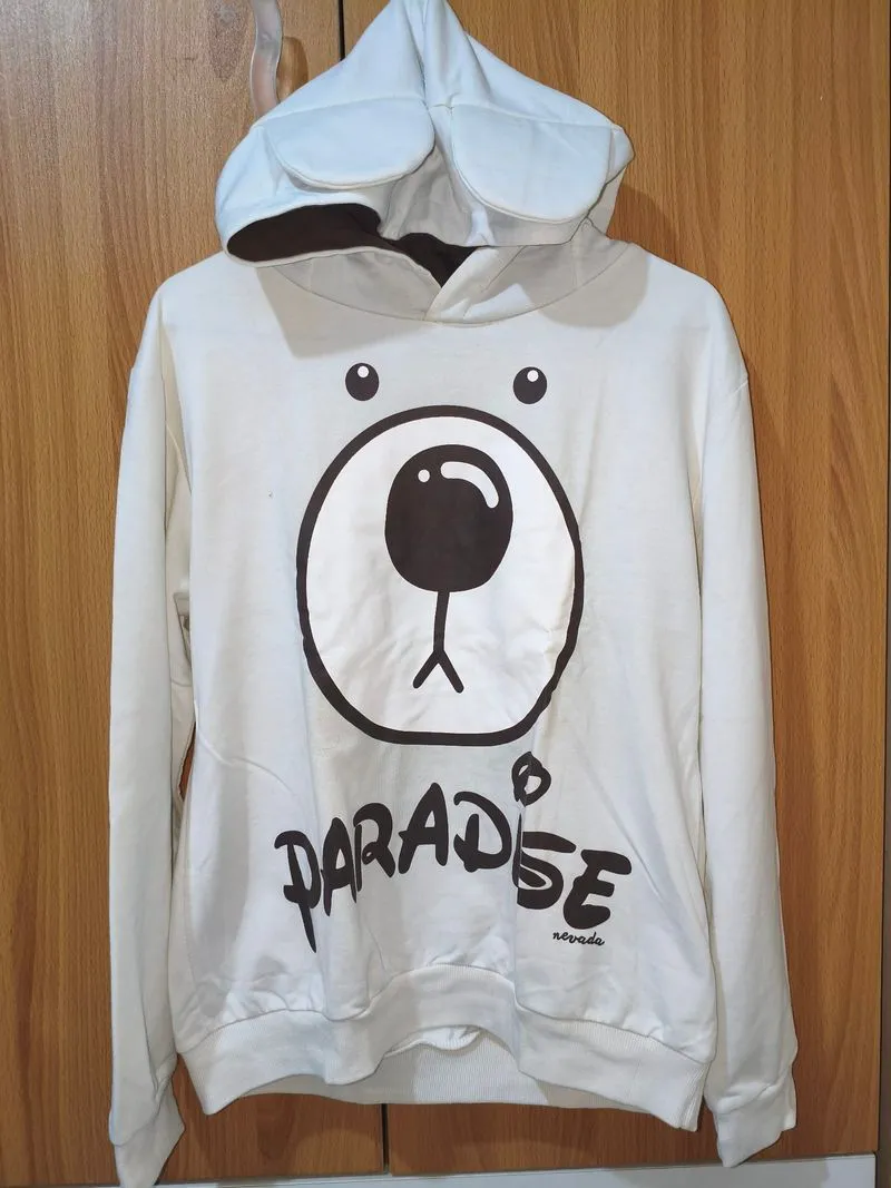 Hoodie Bear photo 1