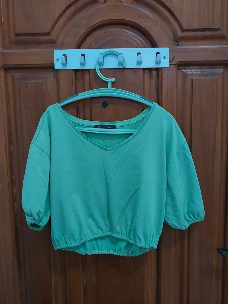 Crop top by flies photo 1