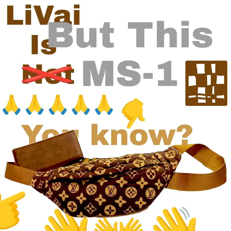 Louis Vuitton Streetwear Luxury Bag Pria tan brown photo 1
