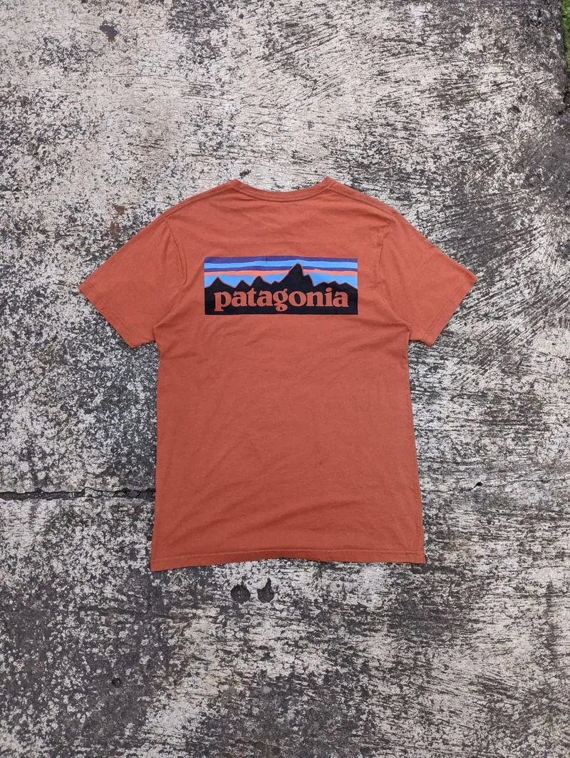 Patagonia T-shirt photo 1