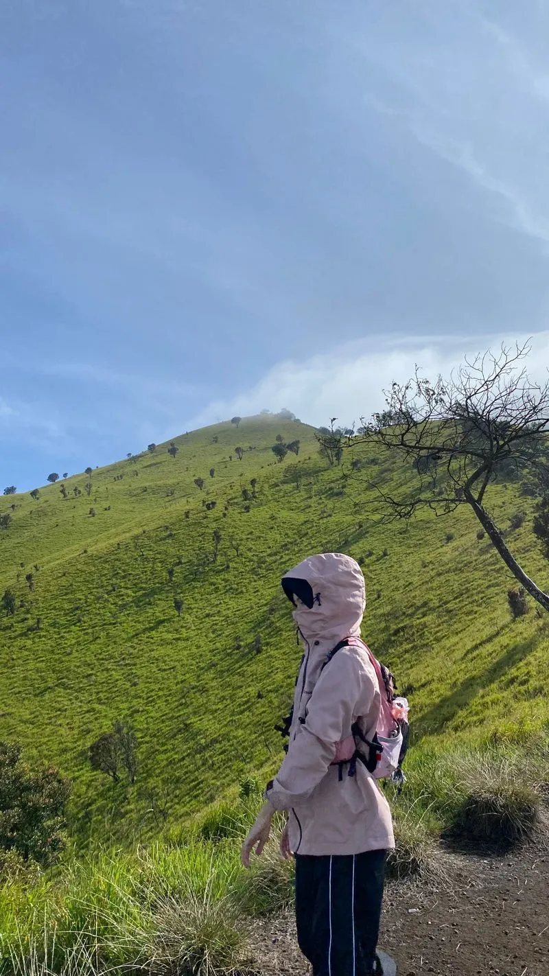 credifox seri climber peach S photo 1