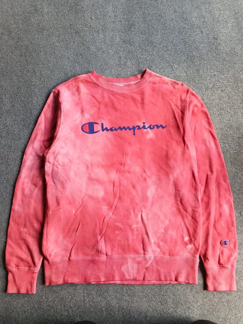 Sweater Champion  photo 1