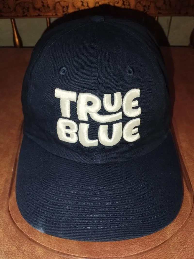 Nike "TRUE BLUE" Embroidered Snapback Hat photo 1
