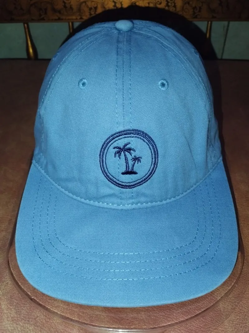 Embroidered Palm Tree Adjustable Hat photo 1