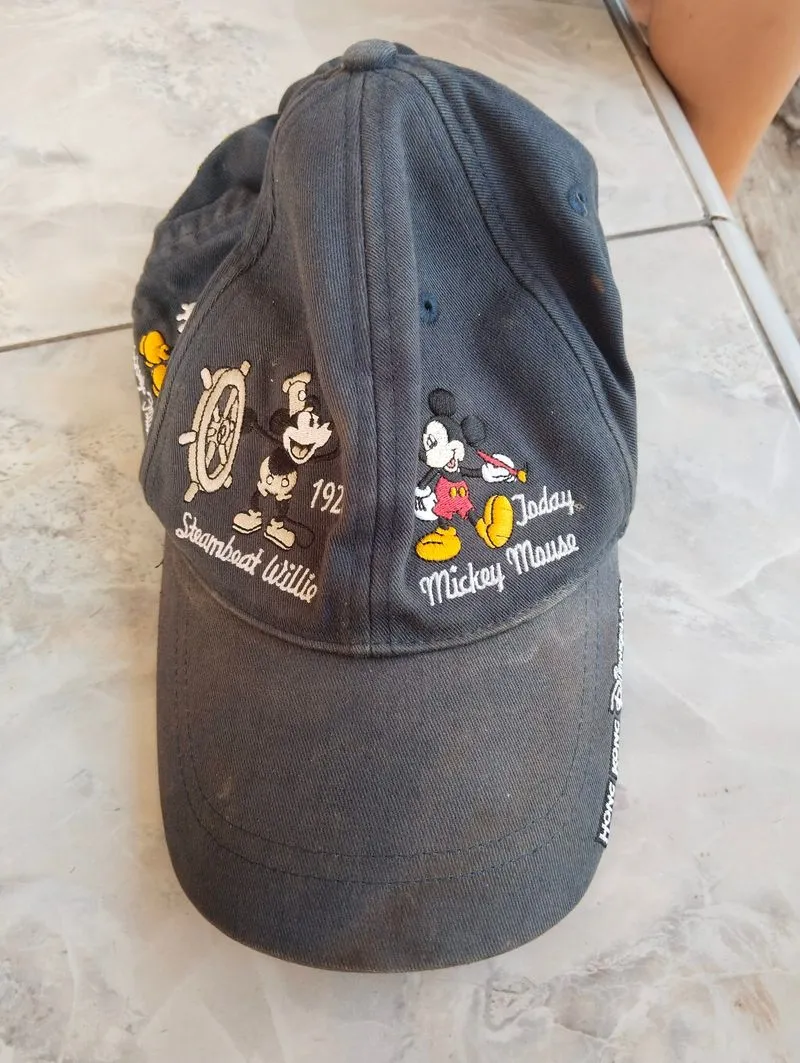 Topi santai / formal Disney  photo 1