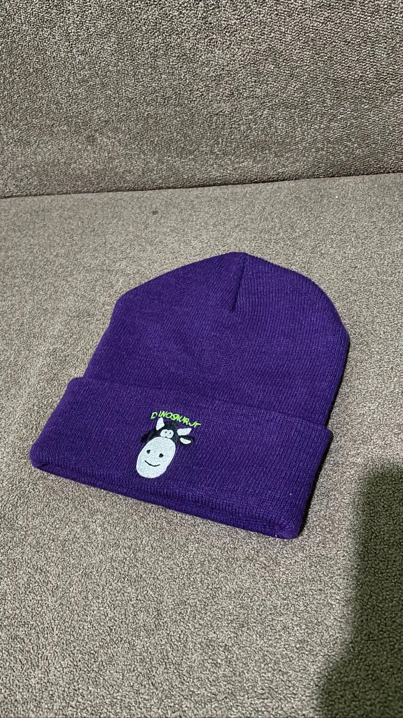 Official Dinosaur Jr Beanie Hat photo 1