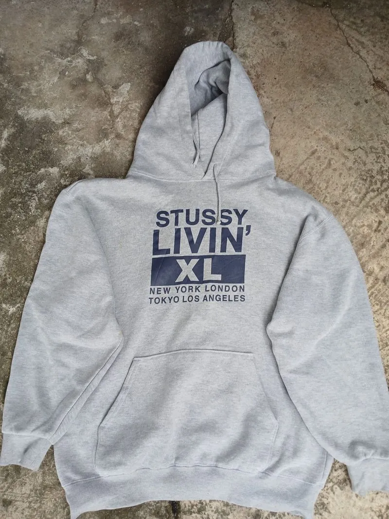 Hodie stussy livin 90s photo 1
