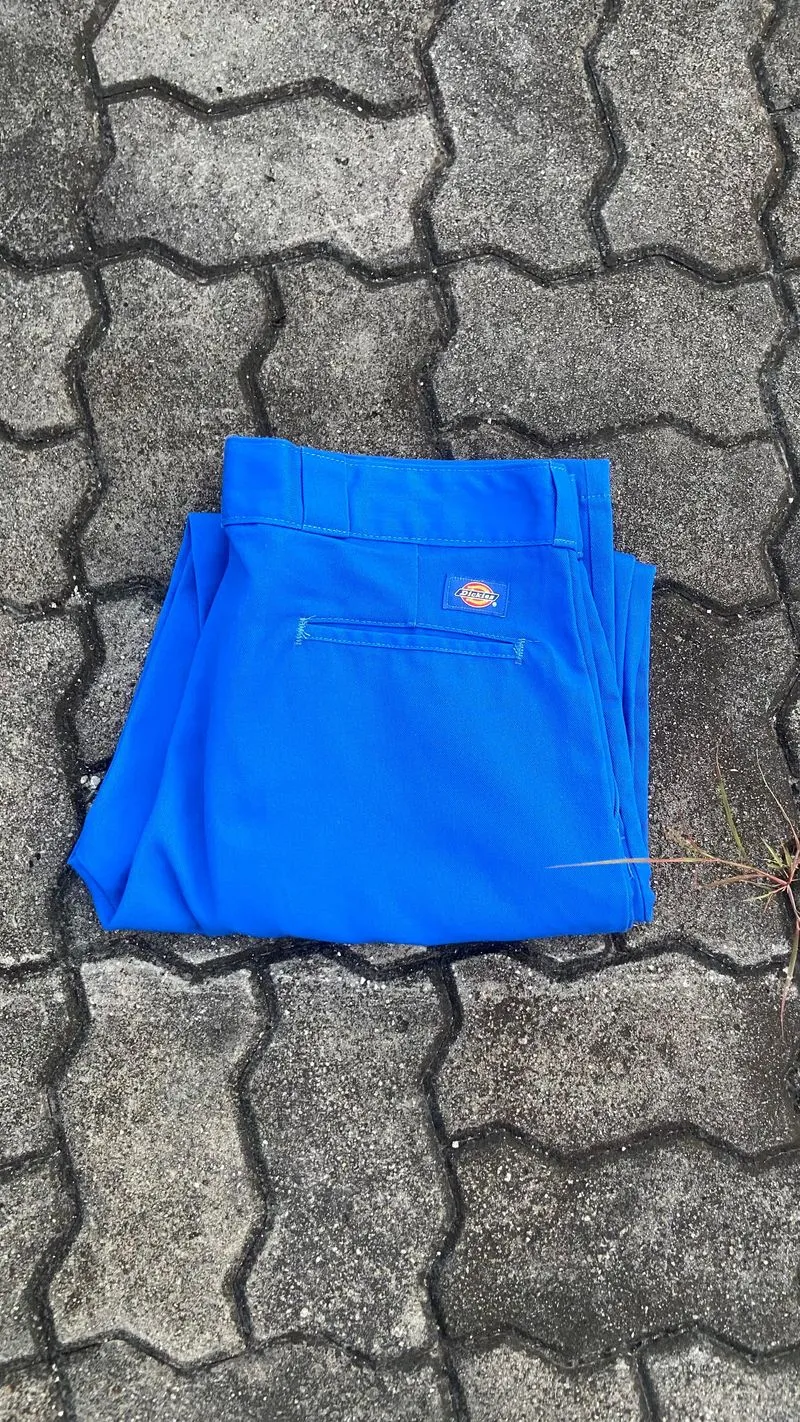 Dickies Streetwear Casual pants Pria blue photo 1